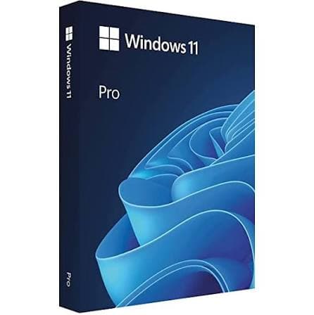 Windows 11 Pro USB FPP